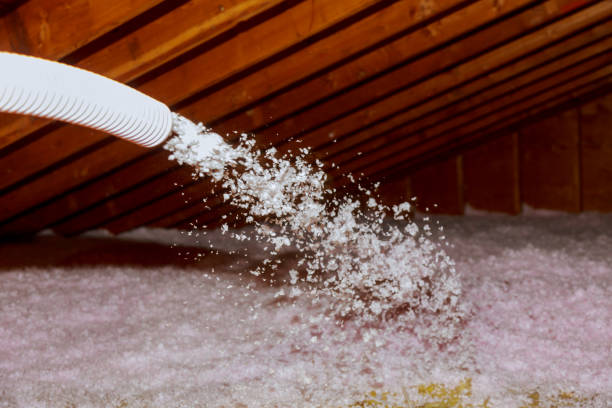 Best Eco-Friendly Insulation in Shafter, CA